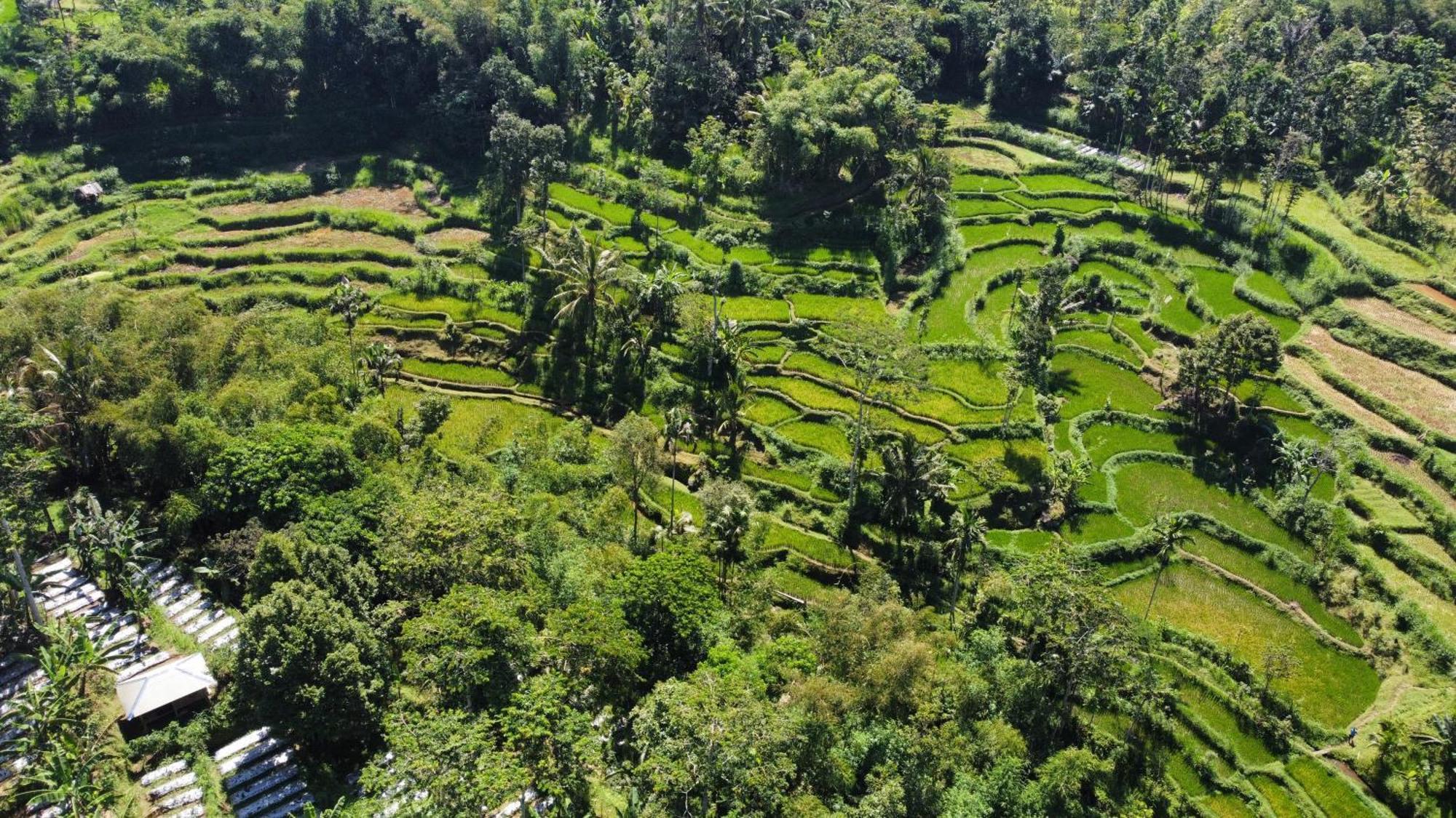 Nan Bungalows Tetebatu Esterno foto