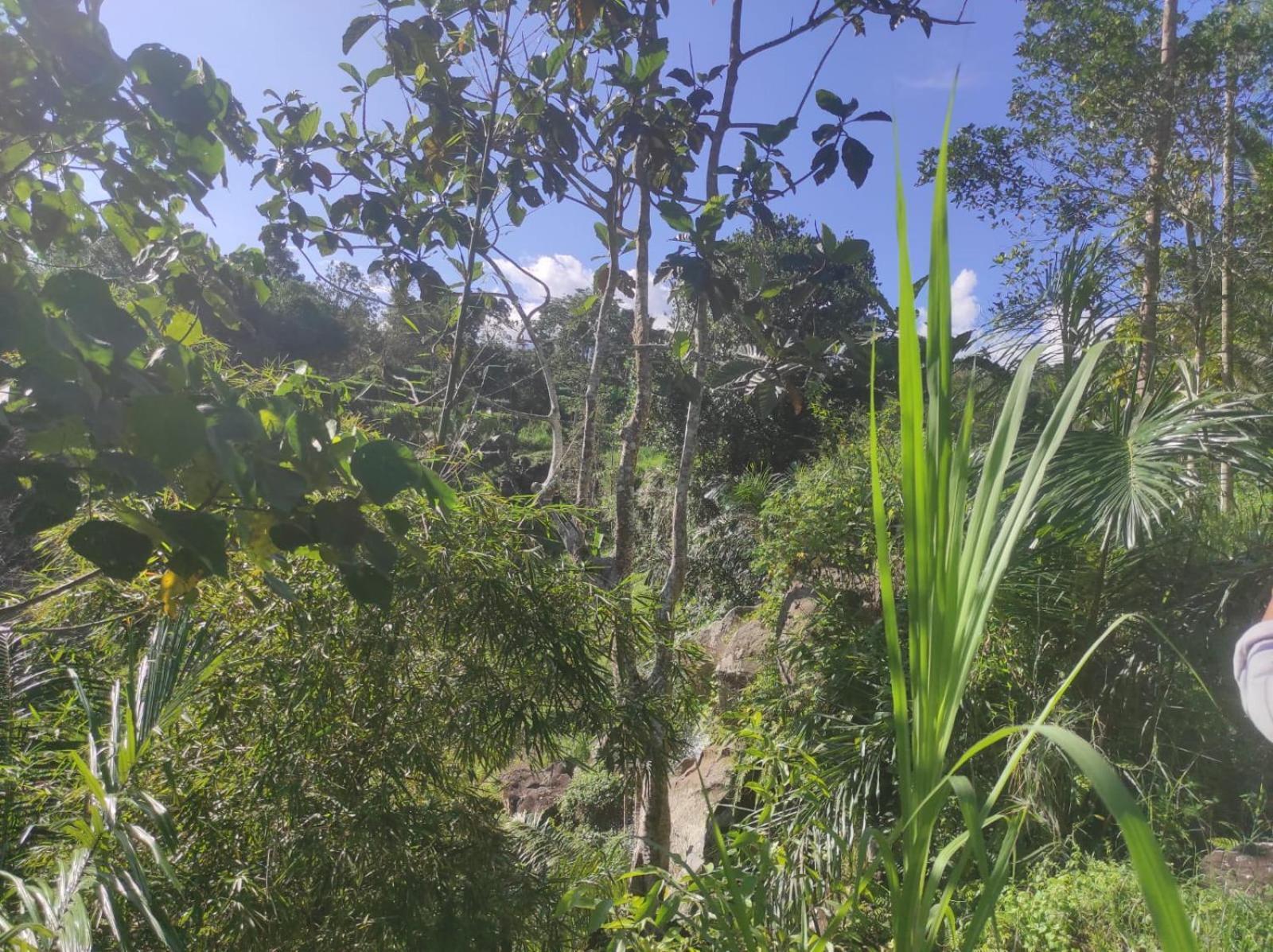 Nan Bungalows Tetebatu Esterno foto