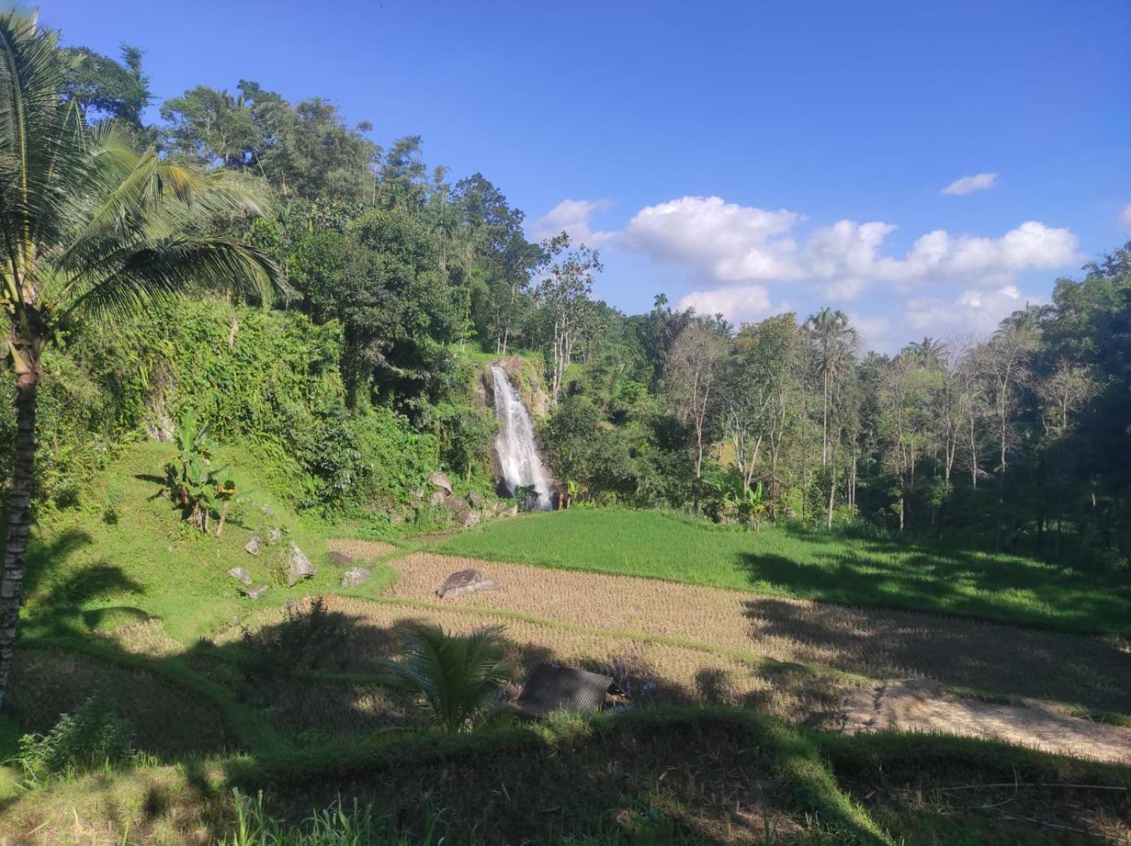 Nan Bungalows Tetebatu Esterno foto
