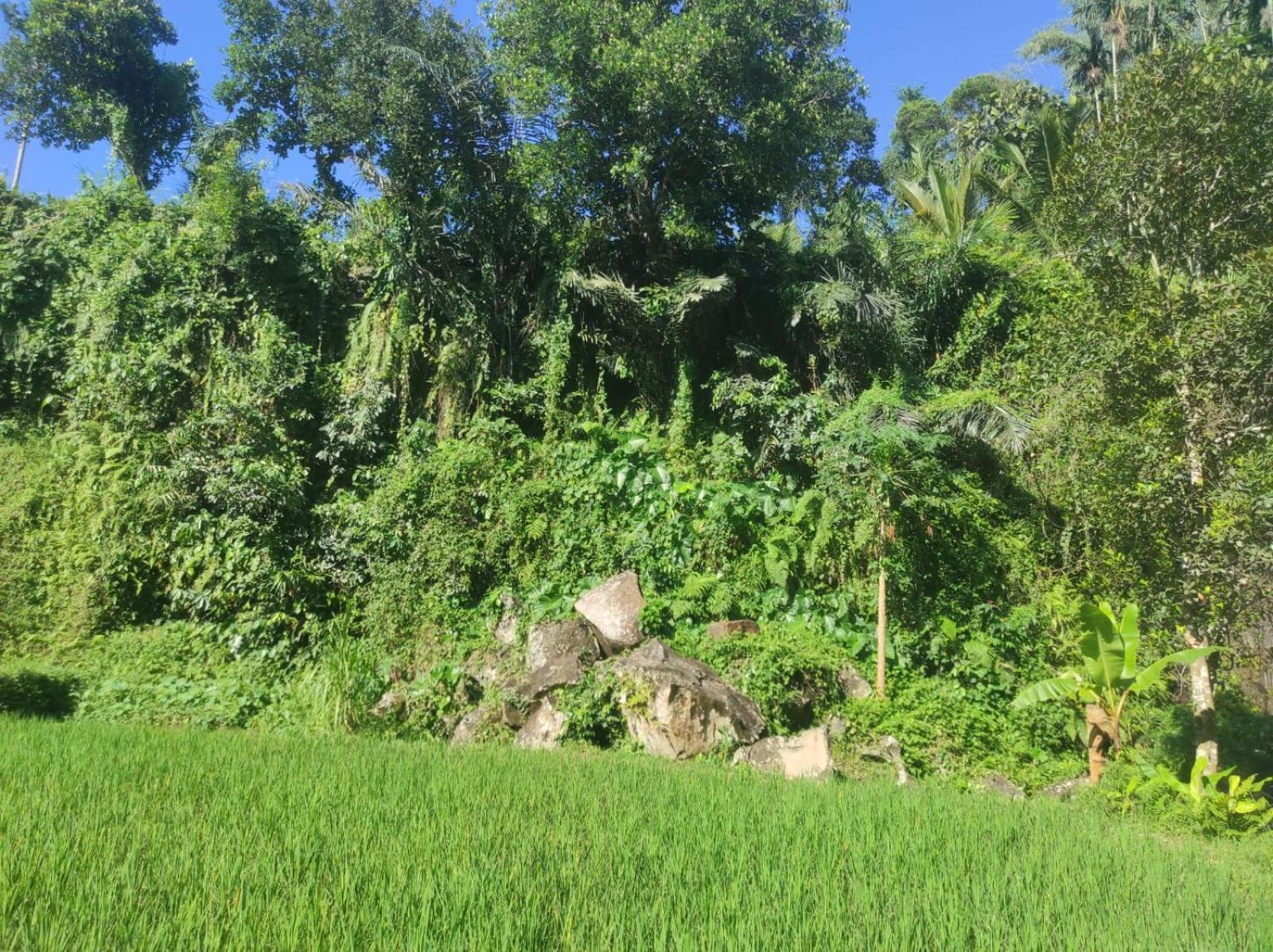 Nan Bungalows Tetebatu Esterno foto